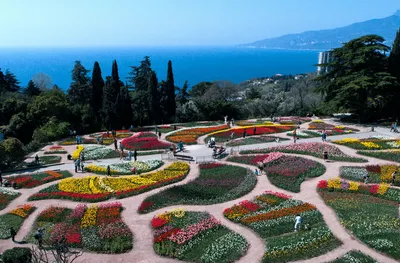 Никитский ботанический сад в Крыму отмечает 210-летие