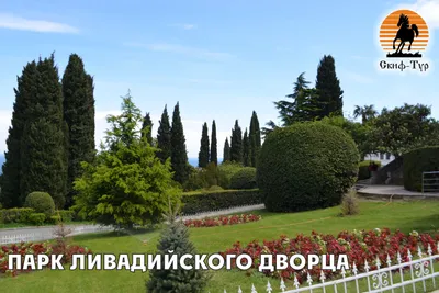 Никитский ботанический сад в Ялте (Крым): описание, как добраться