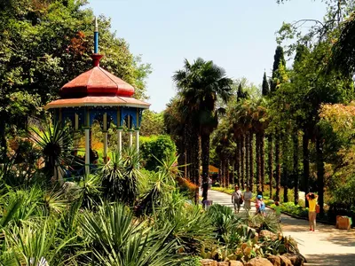 Ботанический сад Ялта (45 фото) - 45 фото