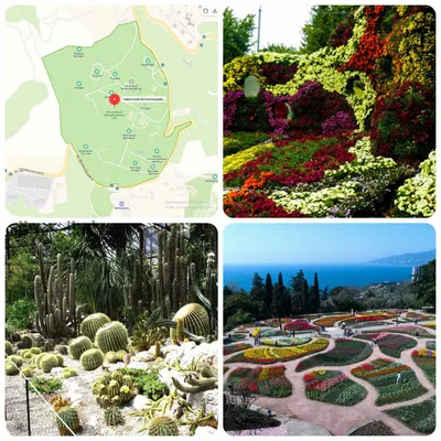 Экскурсия - Ялта - Ливадия - Никитский ботанический сад