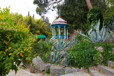 Бал хризантем торжественно открылся в Никитском ботаническом саду - Ялта-24  - ВСЕ ГОРОДСКИЕ СОБЫТИЯ