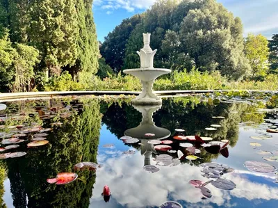 Никитинский сад ялта (78 фото) - 78 фото