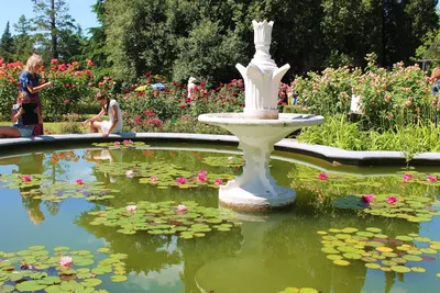 Ялта: Никитский ботанический сад | ТавридаРУ #отдыхвКрыму