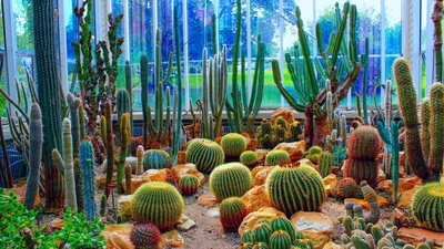 Ботанический сад: достопримечательности России, курорт Иркутск