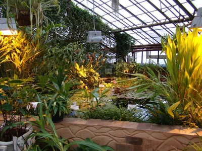 Иркутский ботанический сад в этом году отметит свое 80-летие — Иркутск  Сегодня