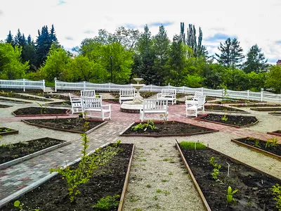 Для Ботанического сада Петра Великого разработали мобильное приложение |  Sobaka.ru