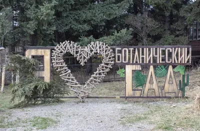 Оранжереи Ботанического сада закрыли из-за жары | ОБЩЕСТВО | АиФ  Санкт-Петербург