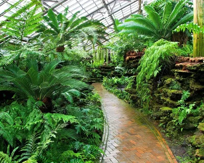 Экскурсия на Ай-Петри и в Никитский Ботанический Сад – экскурсии, туры |  GuideAdvisor в Севастополе