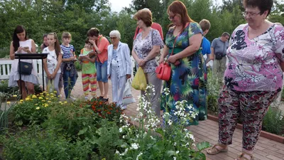 Ботанический сад ИГУ приглашает на осенние экскурсии — Иркутск Сегодня