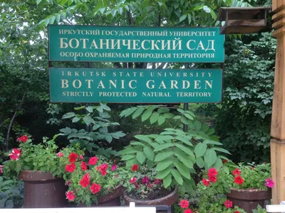 Ботаническому саду ПГНИУ исполняется 100 лет | Sobaka.ru