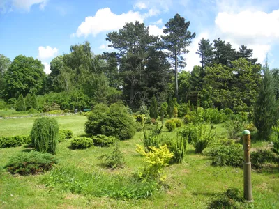 Ботанический сад БФУ имени И. Канта — Википедия