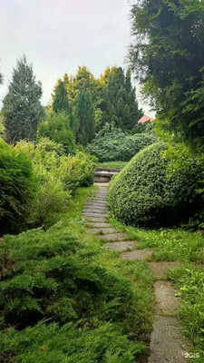 Ботанический сад, Калининград :: Маргарита Батырева – Социальная сеть  ФотоКто