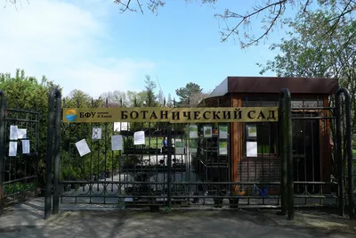 Калининградский Ботанический сад БФУ им. Канта