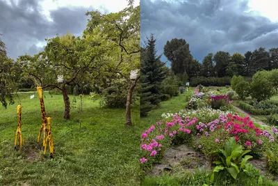 Ботанический сад Петра Великого в СПб | KidsReview.ru