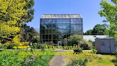 Kantiana Botanical Gardens (@garden_kantiana) • Instagram photos and videos