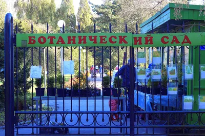 Ботанический сад, Калининград :: Маргарита Батырева – Социальная сеть  ФотоКто