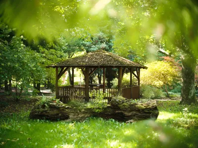 Калининград. Оранжерея Ботанического сада - YouTube
