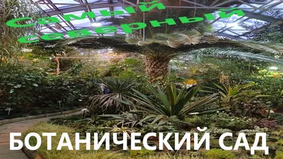 Полярно-альпийский ботанический сад-институт | Khibinogorsk