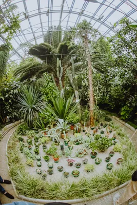Лучшие ботанические сады мира: 15 мест, которые стоит посетить