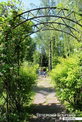 Полярно-альпийский ботанический сад-институт | Khibinogorsk