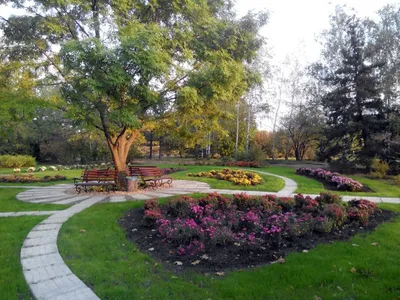 Ботанический сад, Кривой Рог — фото, описание, карта
