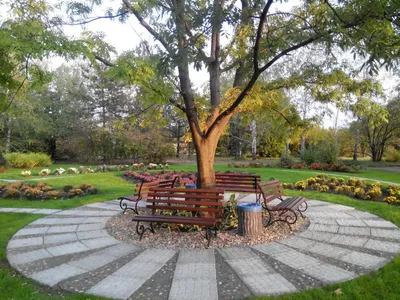 Ботанический сад, Кривой Рог — фото, описание, карта