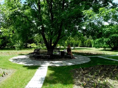 Криворожский Ботанический сад, Кривой Рог: лучшие советы перед посещением -  Tripadvisor