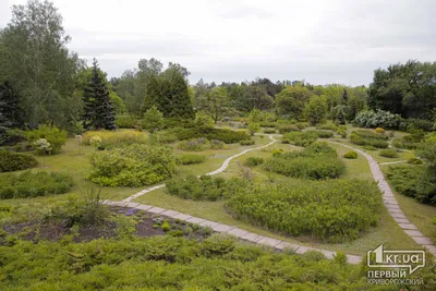 Криворожский ботанический сад приглашает художников на осенние этюды |  Інформатор Кривий Ріг