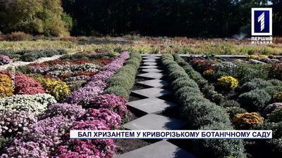 Ботанический сад в \"миниатюре\")) | Пикабу