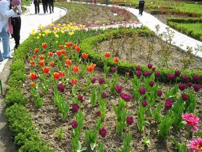Ботанический сад в Кривом Роге. Фото. Адрес