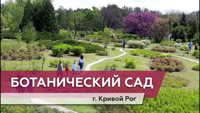 Оранжереи, ботанические сады и теплицы: наслаждаемся жаркими тропиками в  Украине