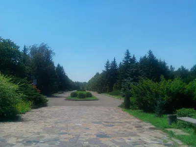 Украинские тропики: ботанические сады, теплицы, оранжереи - блог Doba
