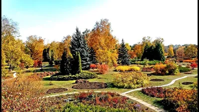 Ботанический сад - Осень. г.Кривой Рог, Украина. - YouTube