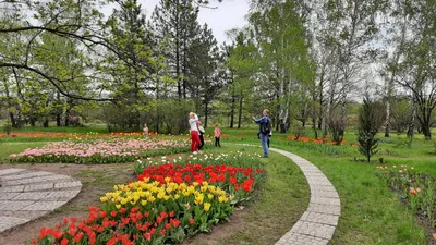 Национальный ботанический сад им. Н.Н. Гришка НАН Украины — Свадебный  портал Marry