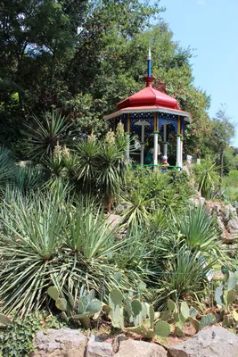 Ботанический сад крым фото фотографии