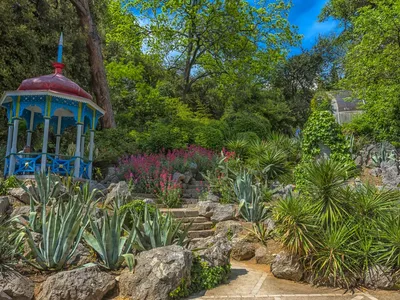 Никитский ботанический сад 🧭 цена экскурсии 1000 руб., 5 отзывов,  расписание экскурсий в Алуште