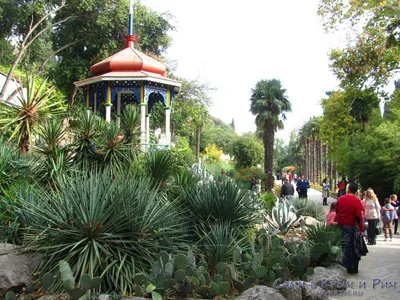 Никитский Ботанический сад на карте Крыма и парковое искусство