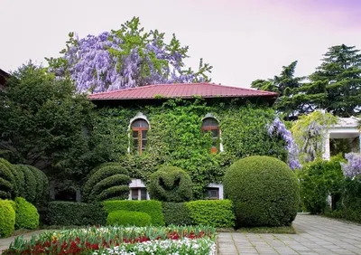 Никитский ботанический сад в Ялте - фотоиллюстрация, советы как доехать