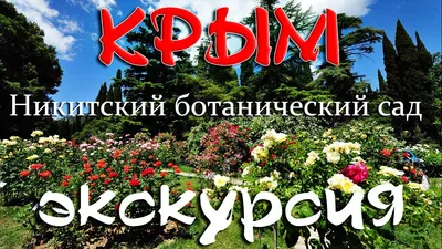 Никитский ботанический сад на фото и видео