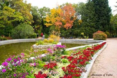 Никитский ботанический сад (Ялта) — путеводитель по отдыху в Крыму
