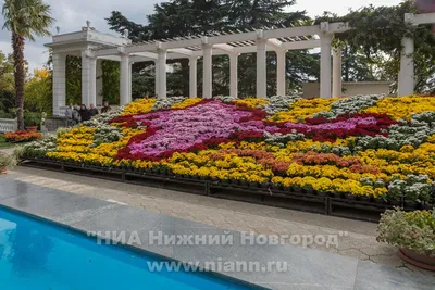 Райский уголок.Никитский ботанический сад.Крым.Россия. Stock Photo | Adobe  Stock