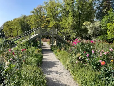 4 июля в Ботаническом саду МГУ «Аптекарский огород» откроется для посещения  Суккулентная оранжерея