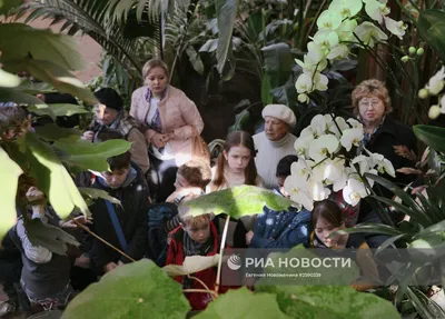 Ботанический сад МГУ – история старейшего парка Москвы
