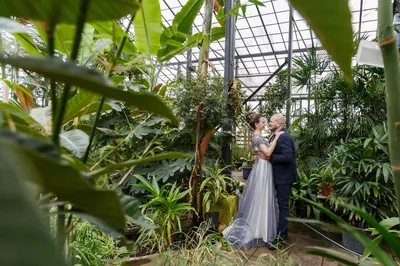 greenhouse, ботанический сад ран свадебная фотосессия, сад спб фотосессия в  оранжерее, аптекарский огород оранжерея фото свадебное, Свадебный фотограф  Москва