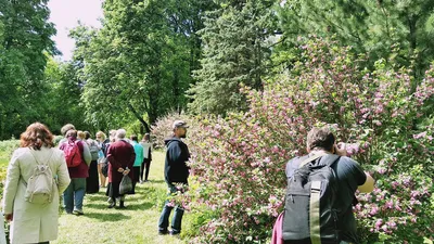 Никитский ботанический сад в Ялте - описание и отзывы, время работы и  стоимость в 2024, как добраться