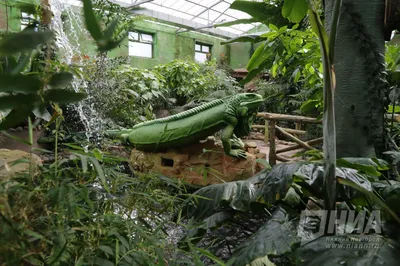 Ботанический сад на Соловецких островах - история с описанием и фото