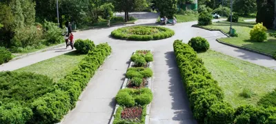 Ботанический сад - ТОПОС Конгресс-отель