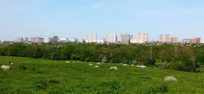 Заброшенный ботанический сад в Ростове-на-Дону — Видео | ВКонтакте