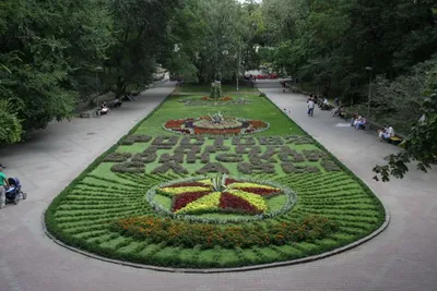 Восстановление ботанического сада в Каменнобродском районе Луганска  начнется в 2024 году