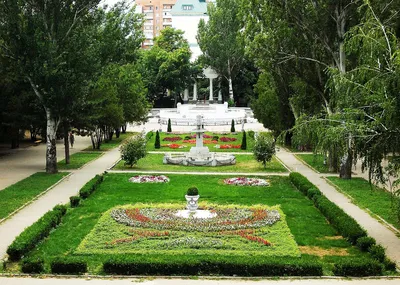 Зимний ботанический сад Ростова | Дороги мира